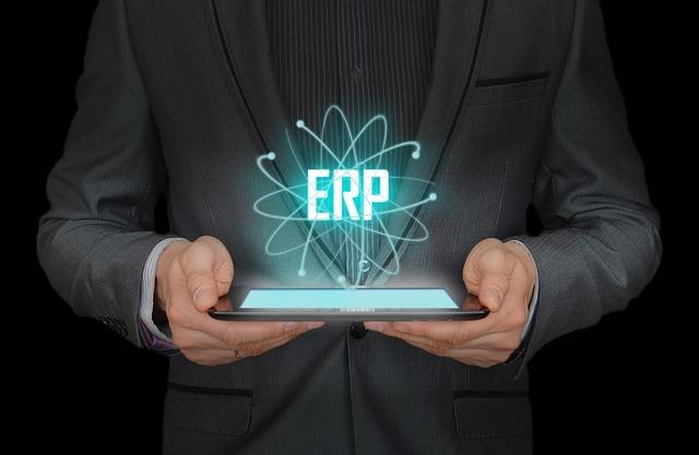 ERP Sistemleri
